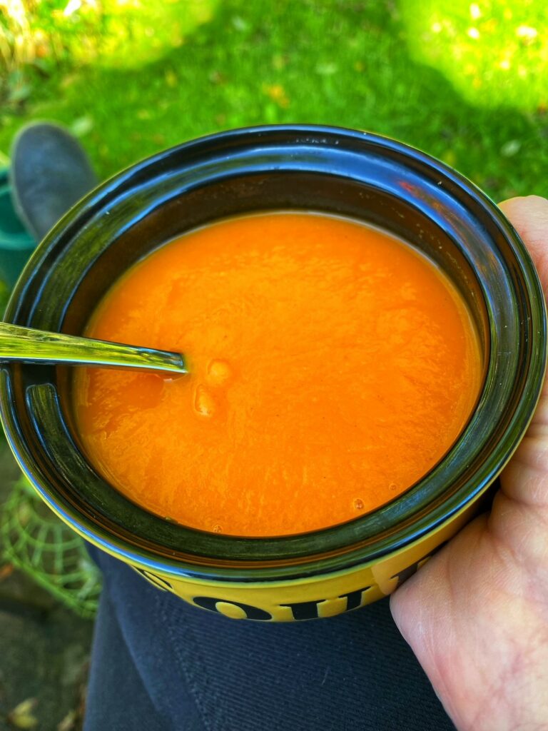 A bowl of sweet potato and carrot soup.